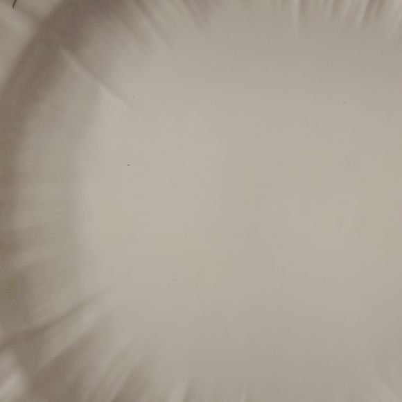 Set of 2, DINNER PLATES Shelley HAREBELL Vintage - Picture 8 of 8